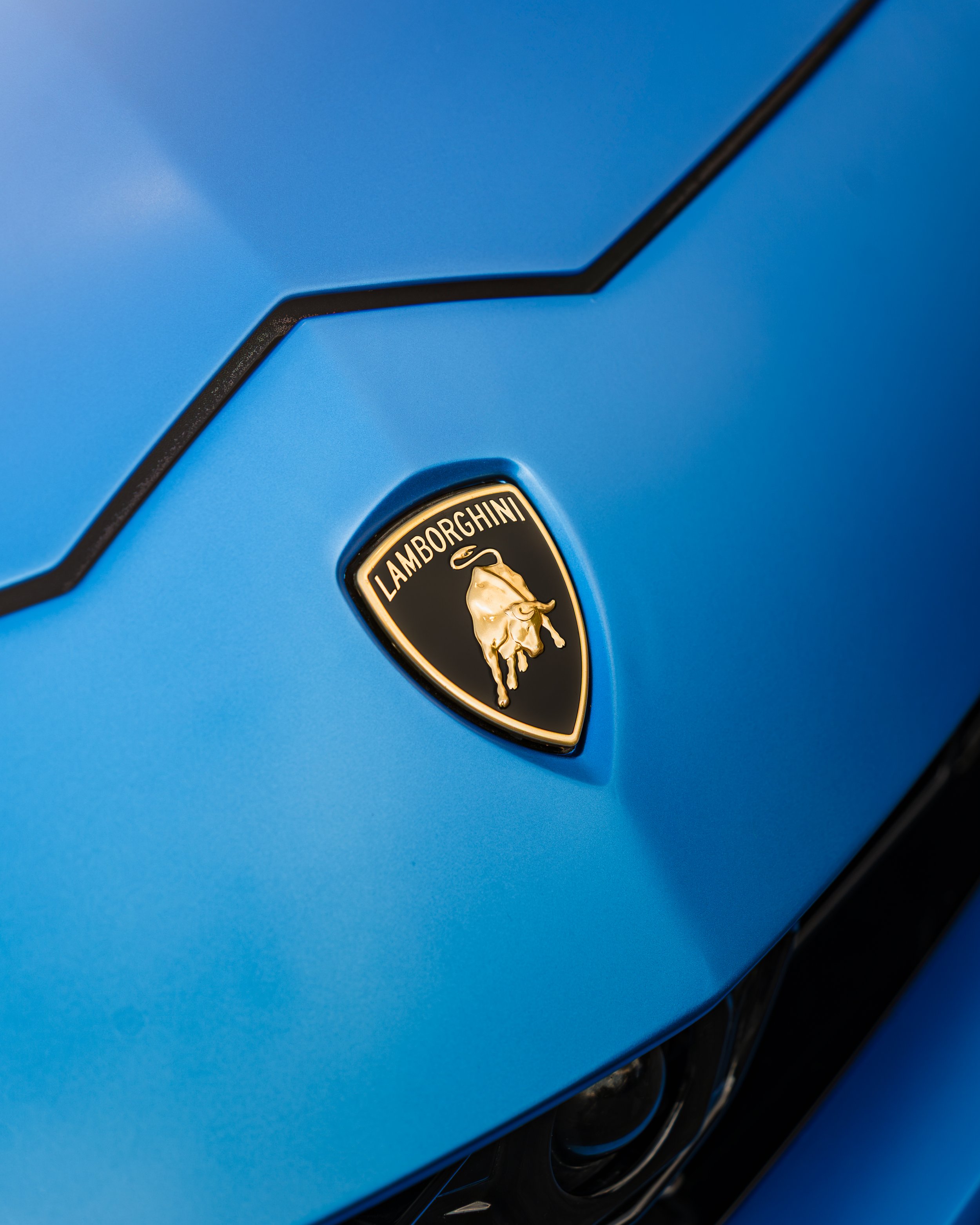 101126_Wraptors_Urus_4.jpg