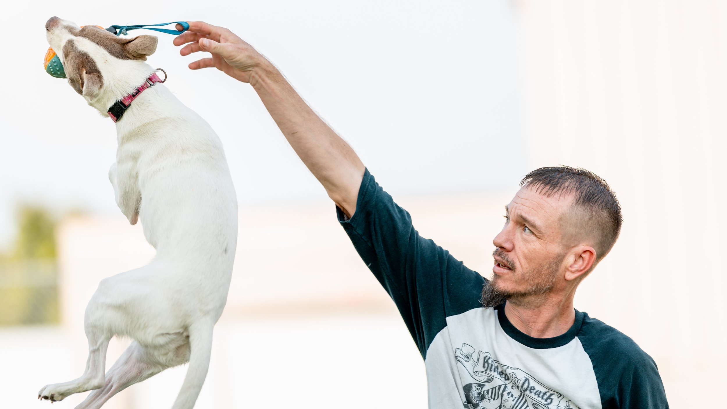 A man playing with a dog outdoors, the dog is jumping in the air. The man is looking at the dog with a surprised expression.